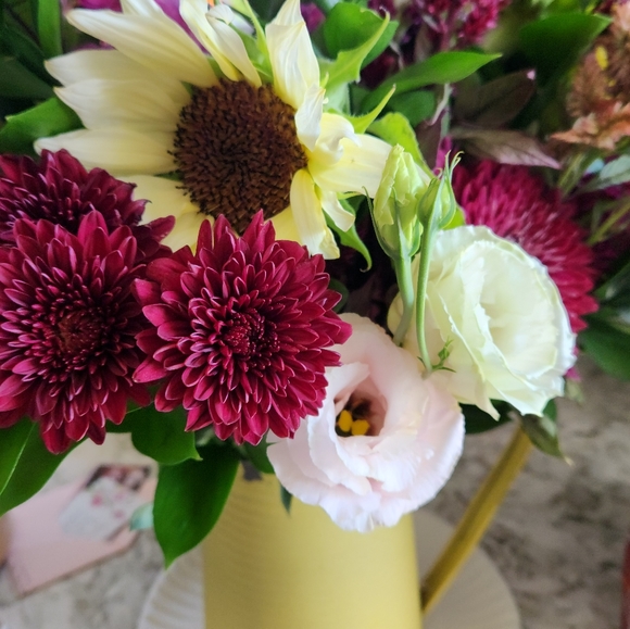 Meet the Posher Other - Meet your Posher, Jenny